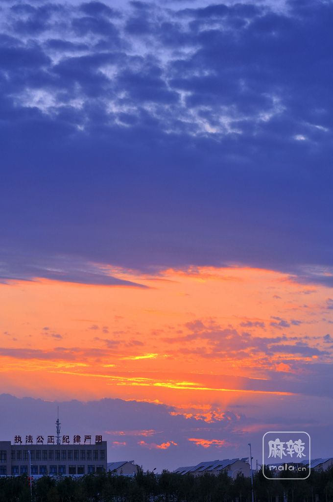 DSC_0251_.jpg
