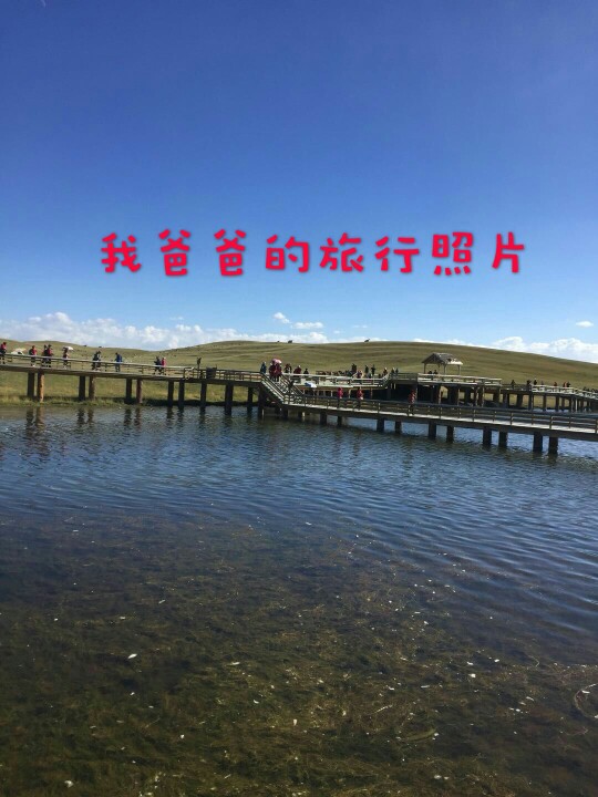 mmexport1537317486440.jpg