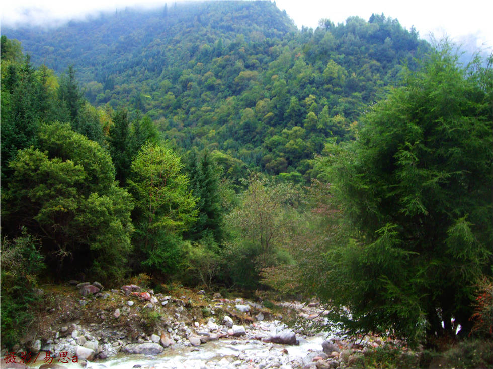 DSCF0124.jpg