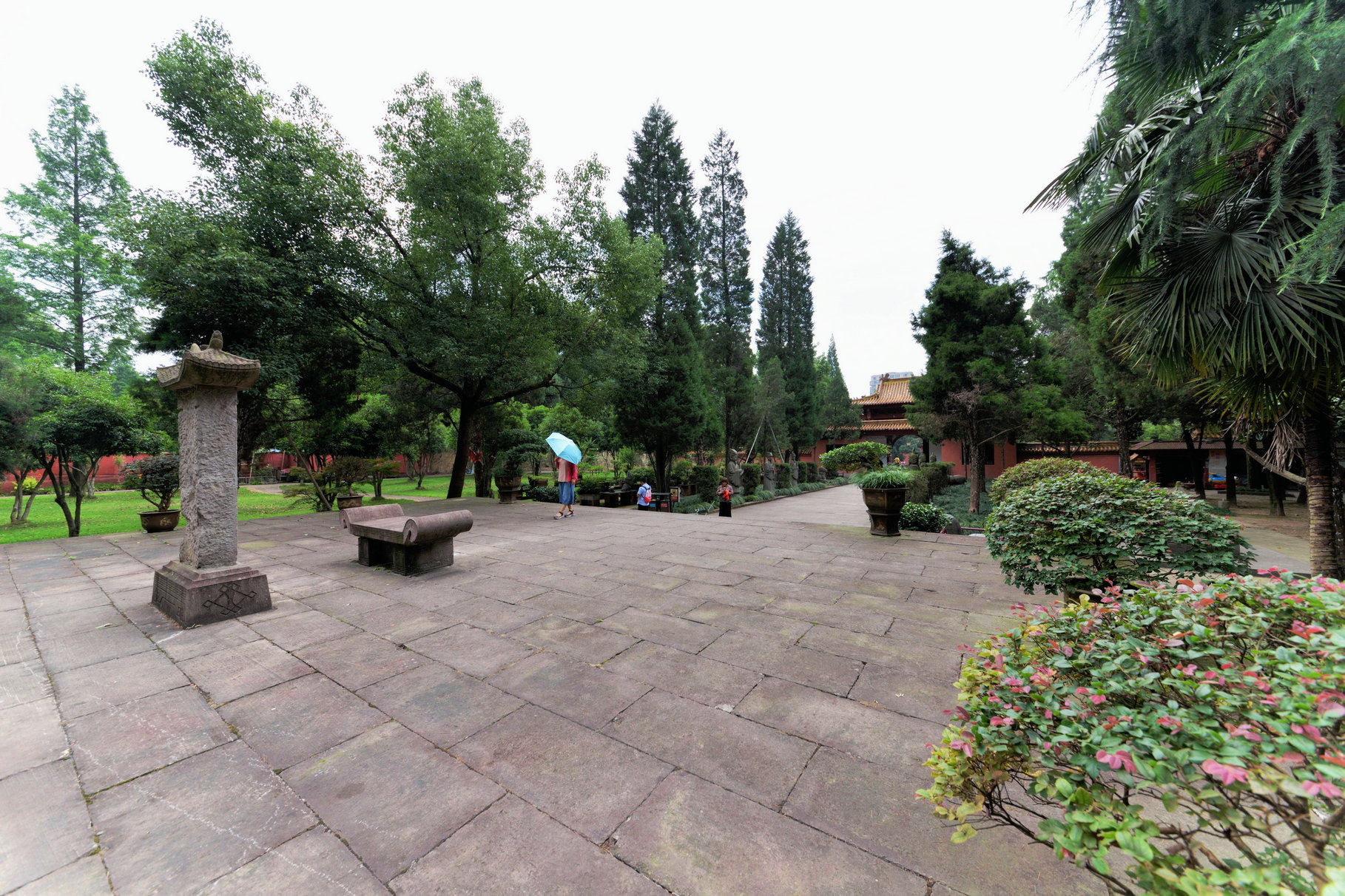 GLN_5676 (2).JPG