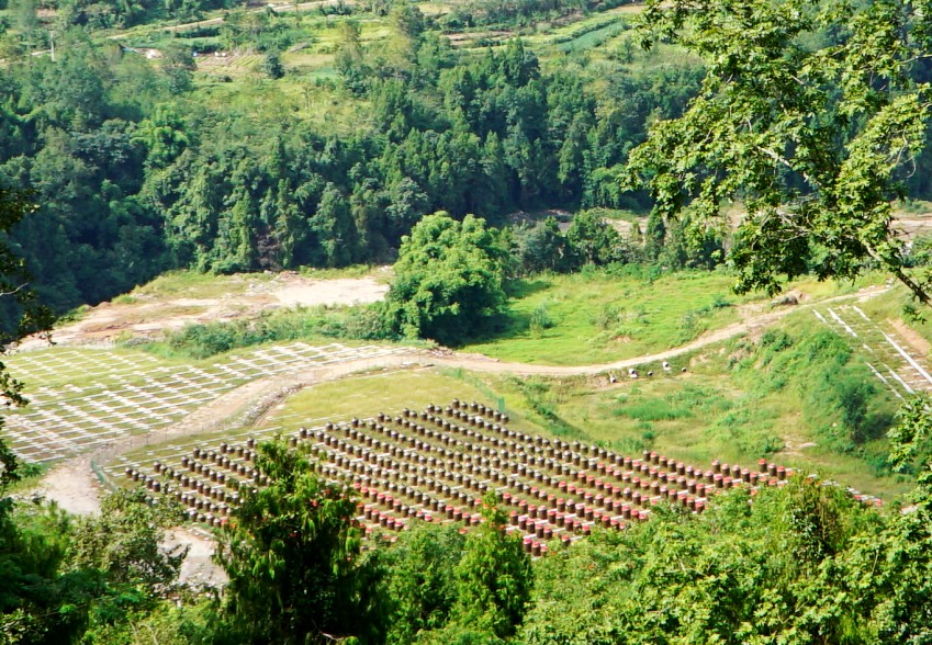 DSC06317_conew1.jpg