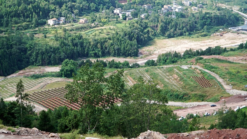 DSC06321_conew1.jpg