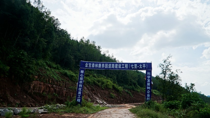 DSC06312_conew1.jpg