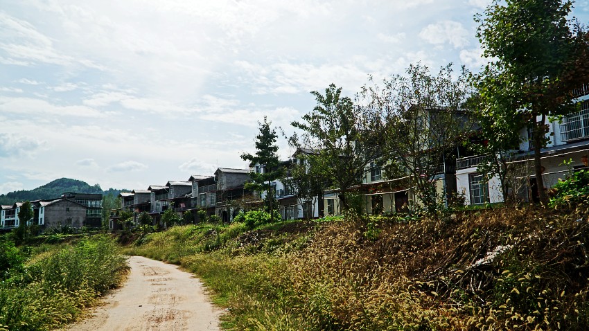 DSC06325_conew1.jpg