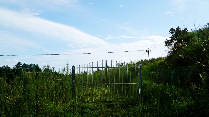 DSC06347_conew1.jpg
