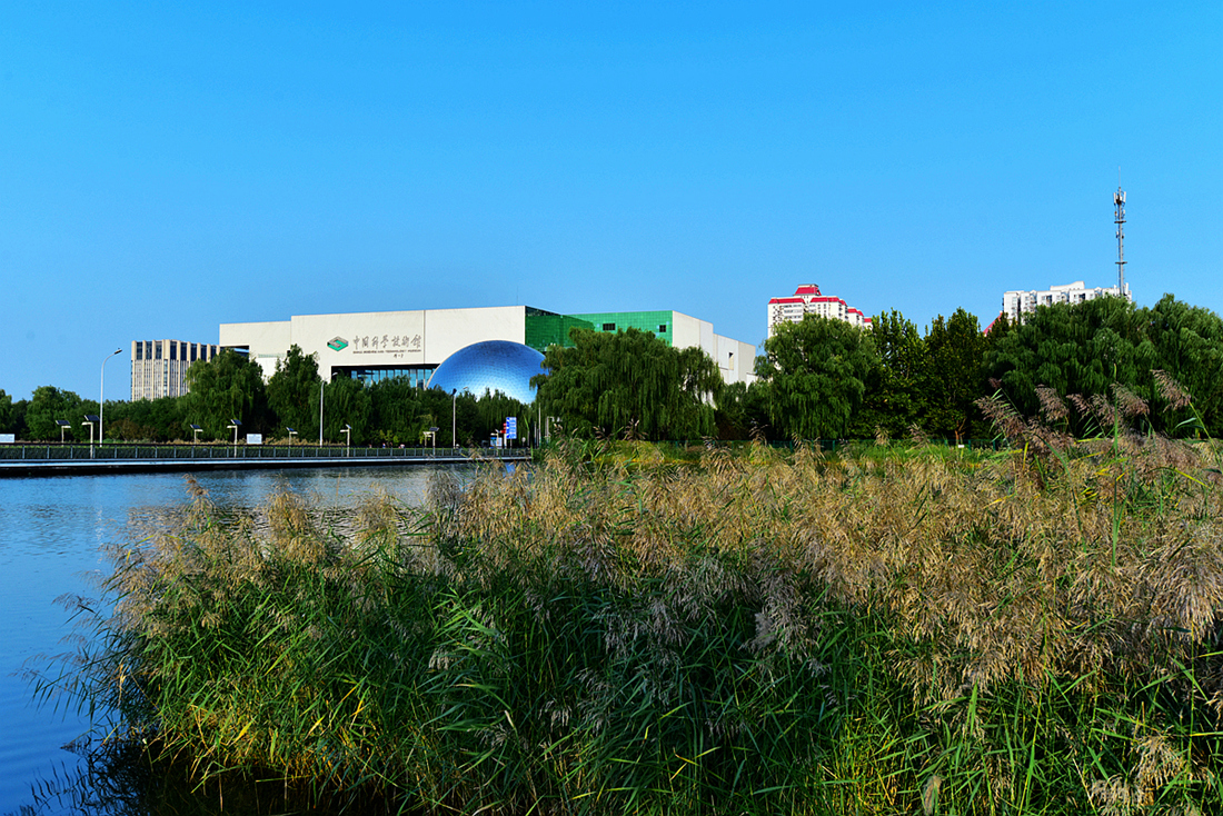 DSC_4984_.jpg