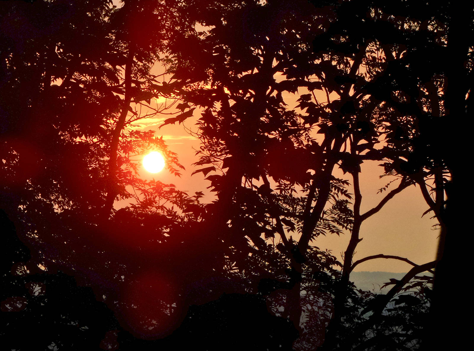 20180814_064654.jpg