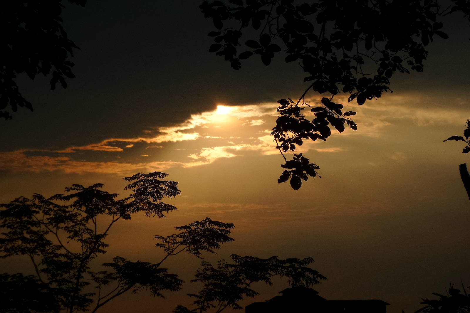 20180814_071253.jpg