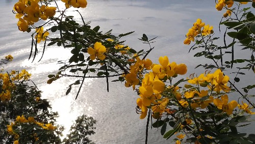 Screenshot_20181003-183711.jpg