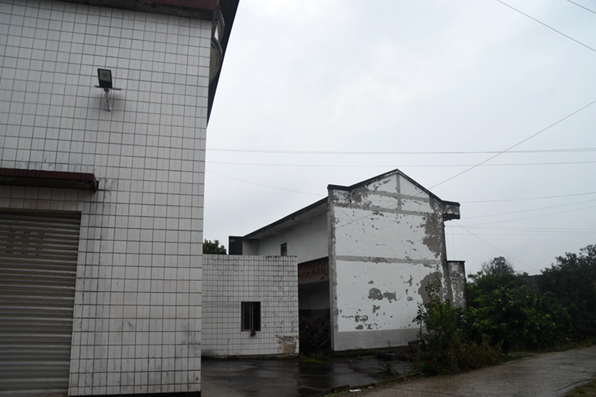 DSC_0857.jpg