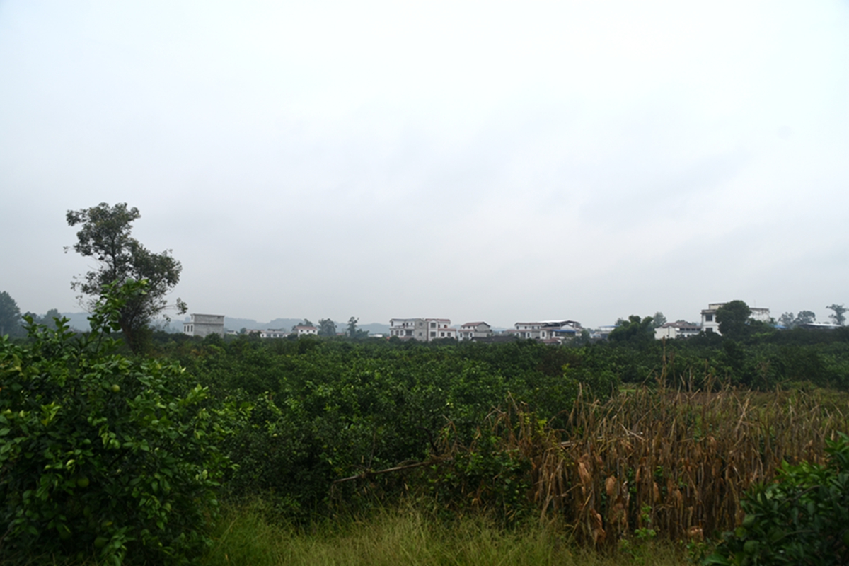 DSC_0931.jpg