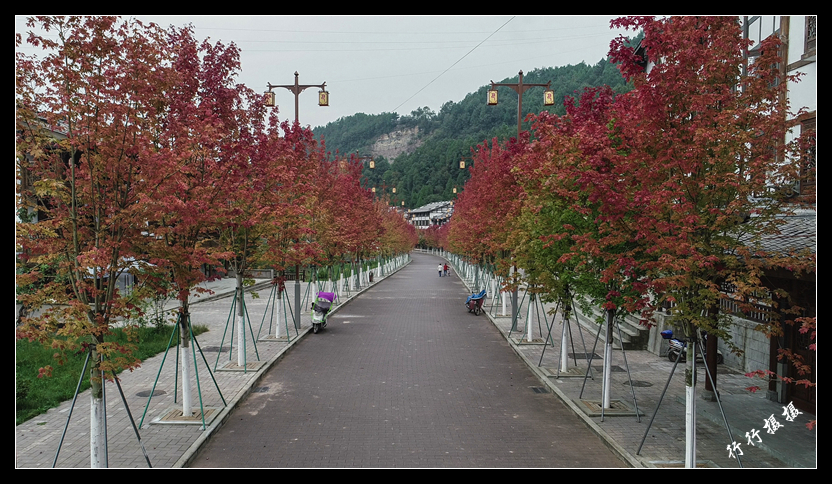DJI_0006_.jpg