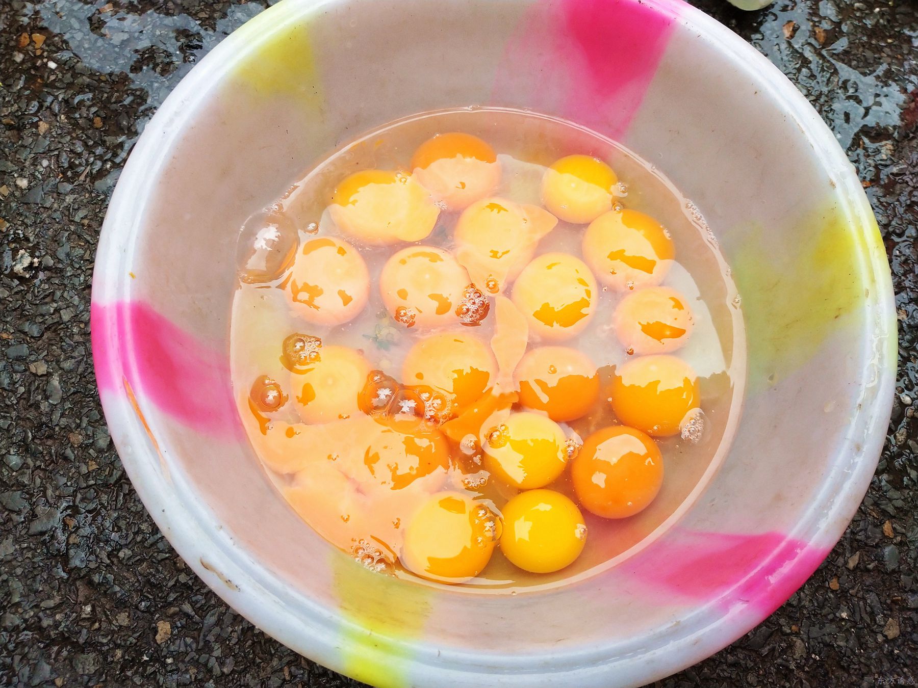 鸡飞蛋打33.jpg