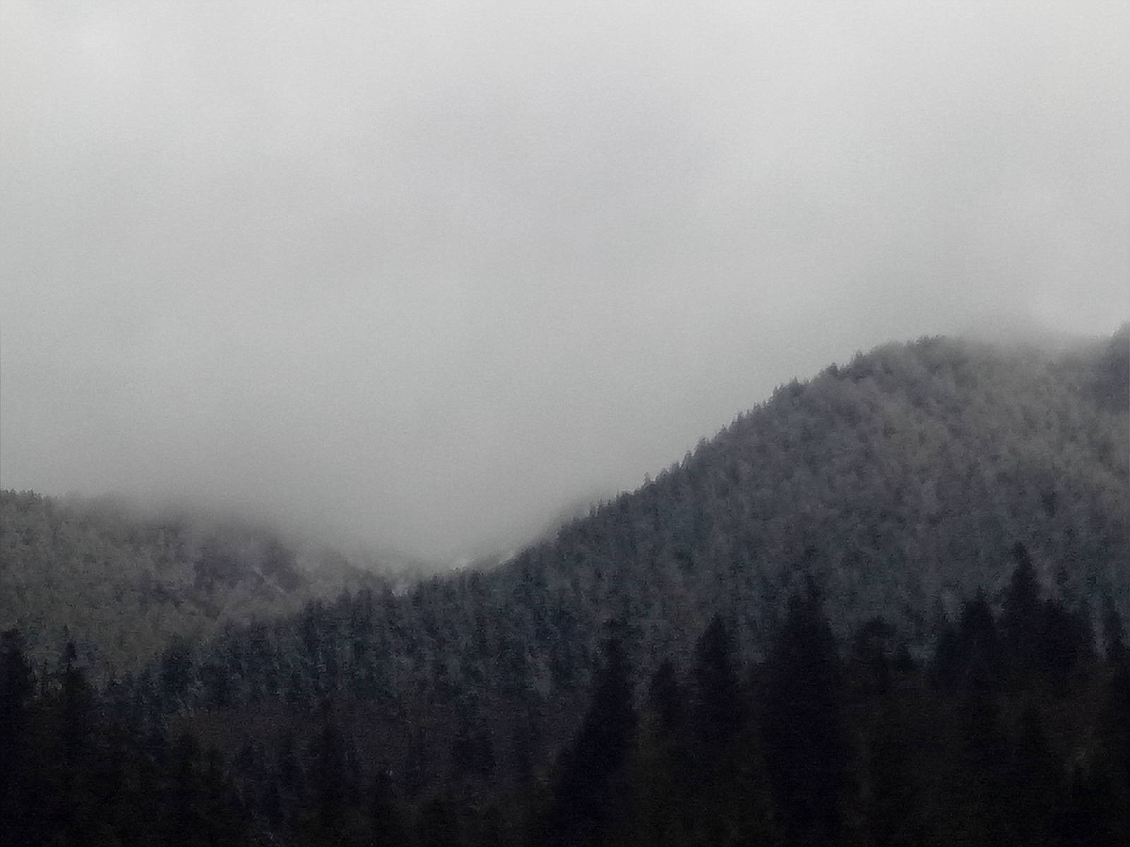 IMG20181005115849.jpg