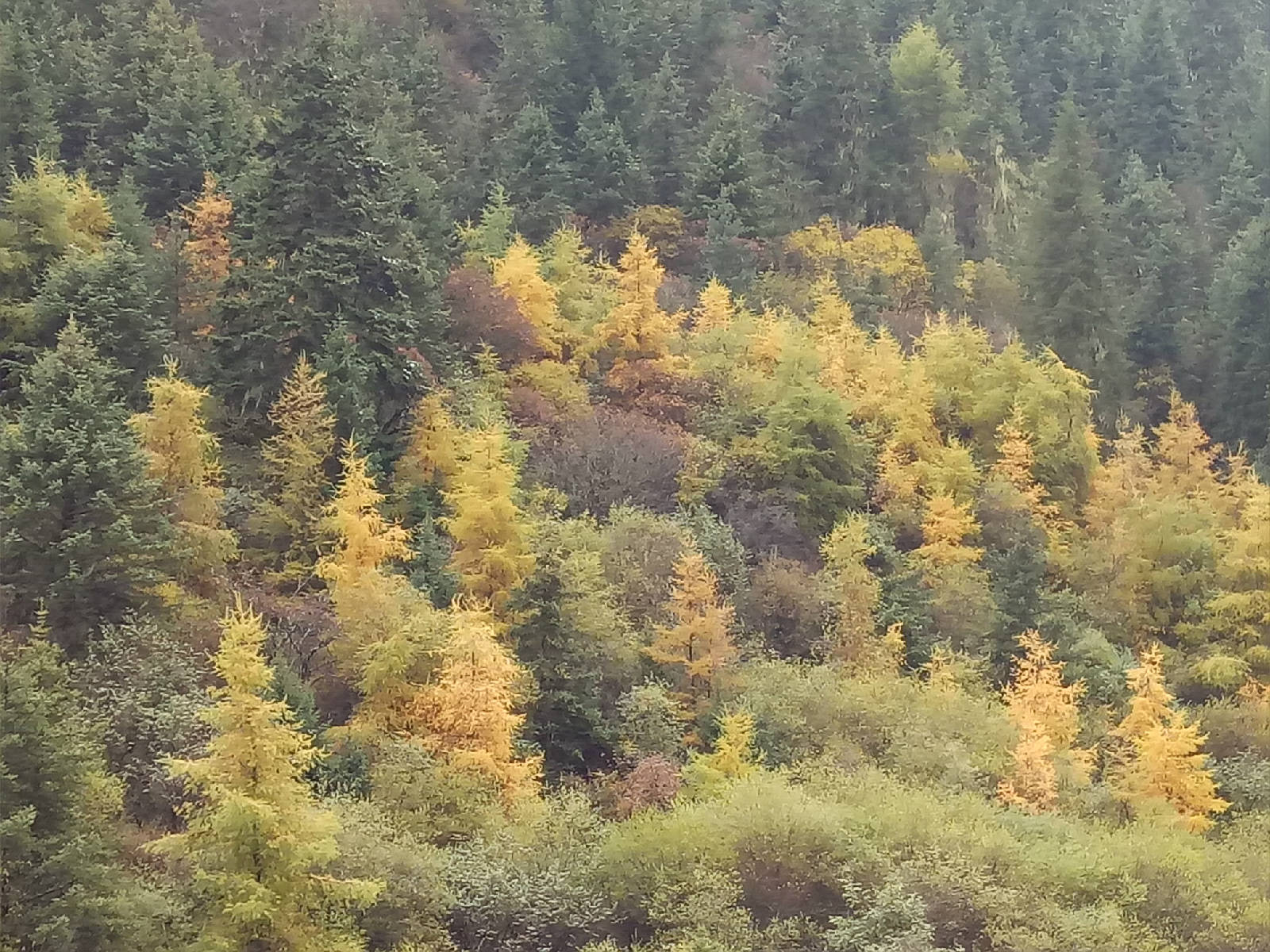 IMG20181005120348.jpg