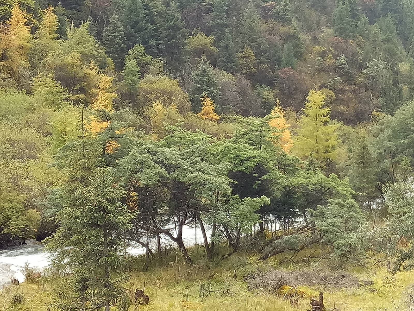 IMG20181005120454.jpg