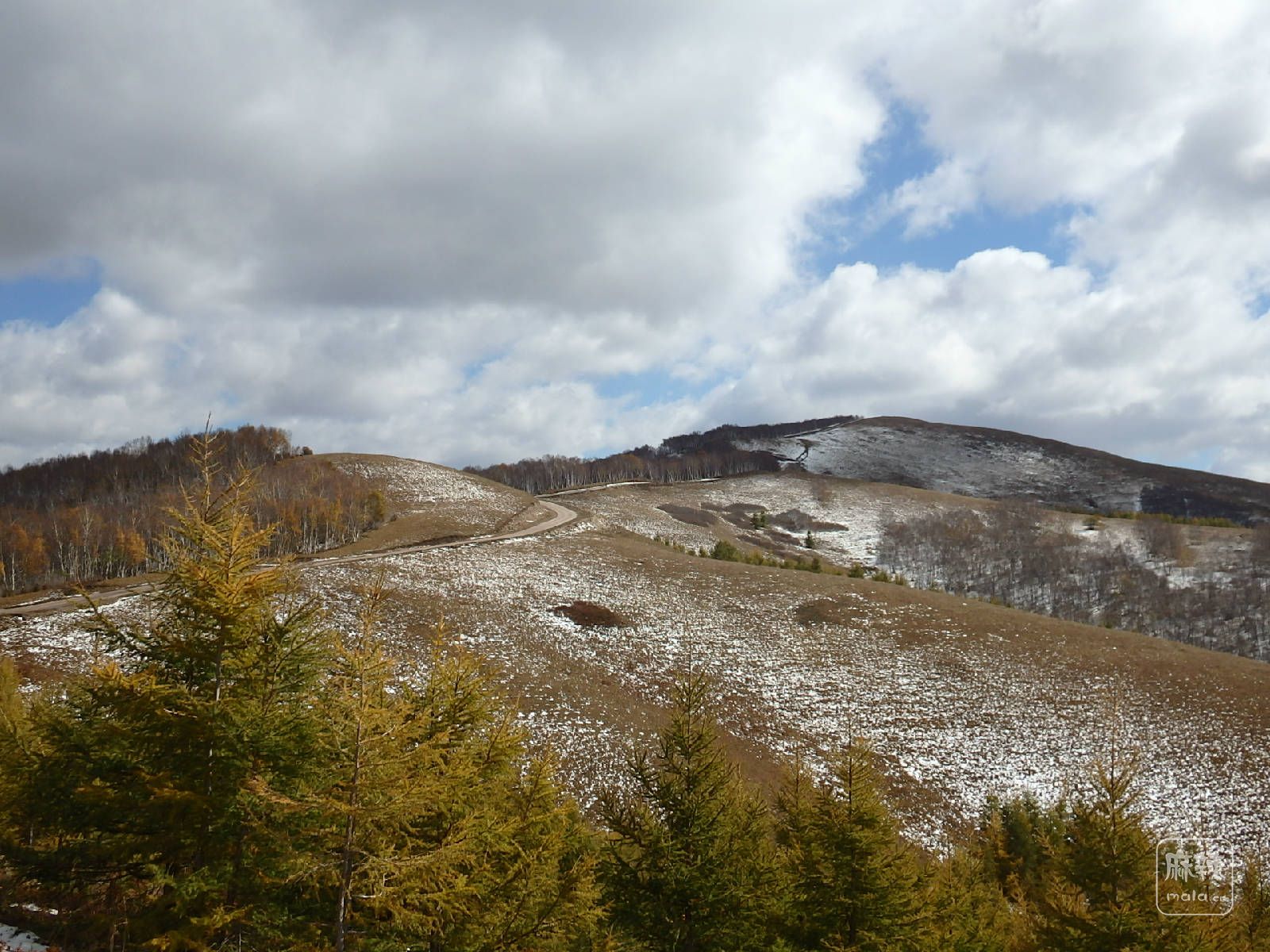 PA010107.JPG