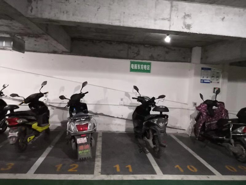 ��ƿ���������