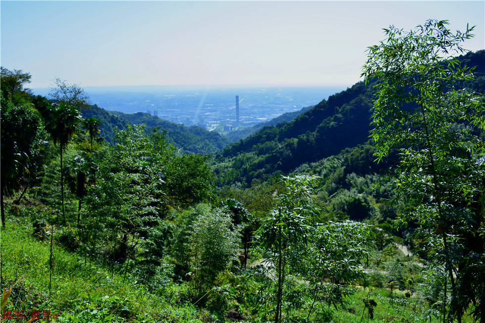 DSC_8599.jpg