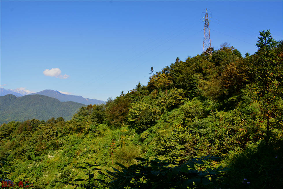 DSC_8645.jpg