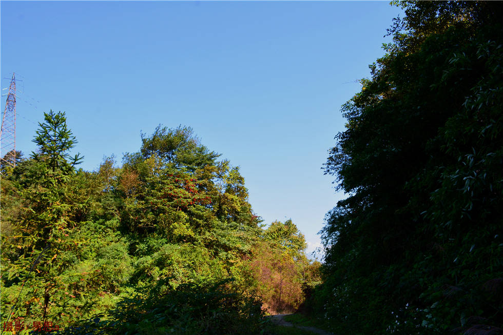 DSC_8652.jpg