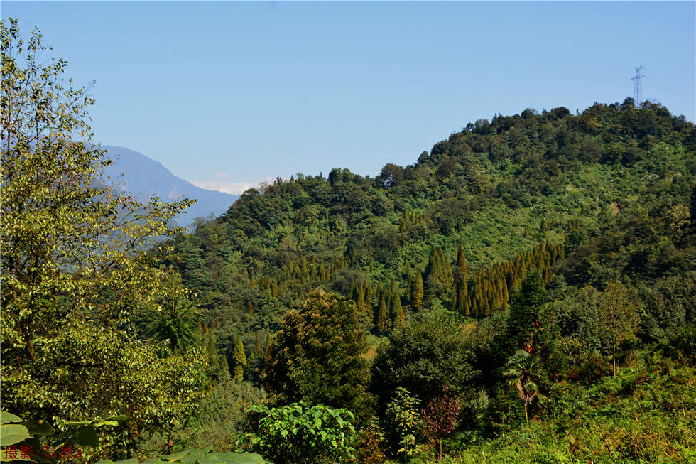 DSC_8662.jpg
