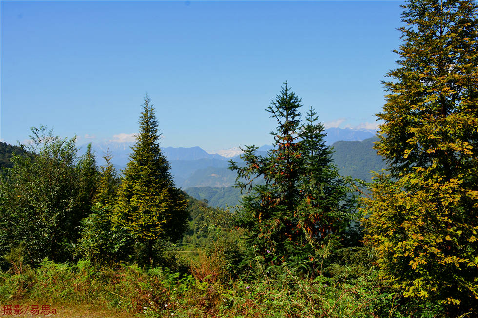 DSC_8668.jpg