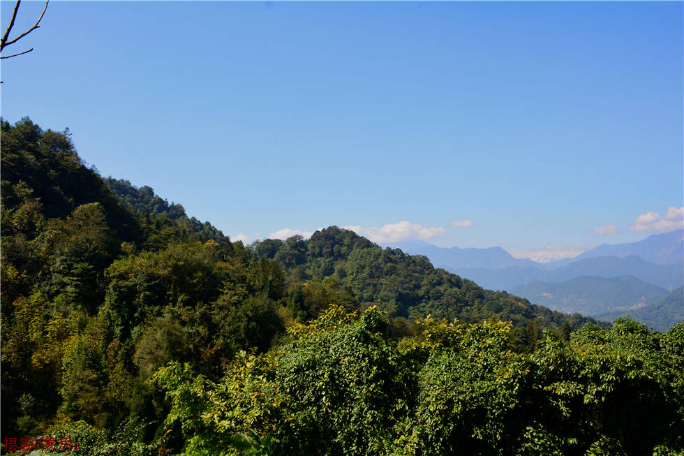 DSC_8671.jpg
