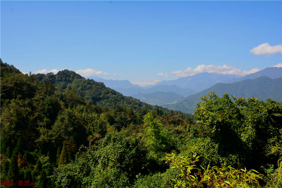 DSC_8680.jpg
