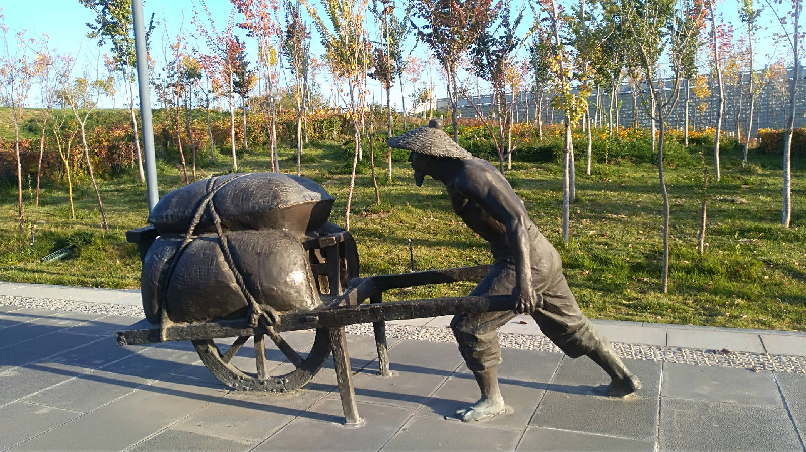 1356.jpg