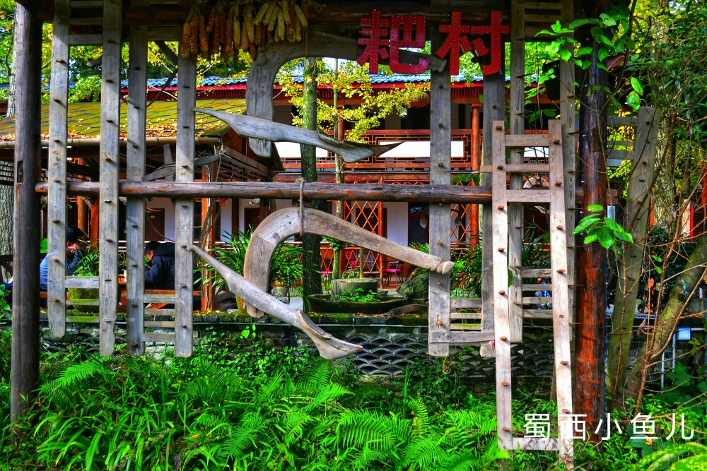 DSC_0074-01.jpeg