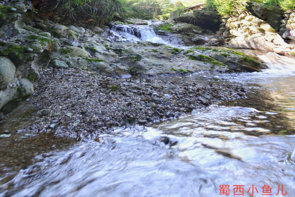 DSC_0122-01.jpeg