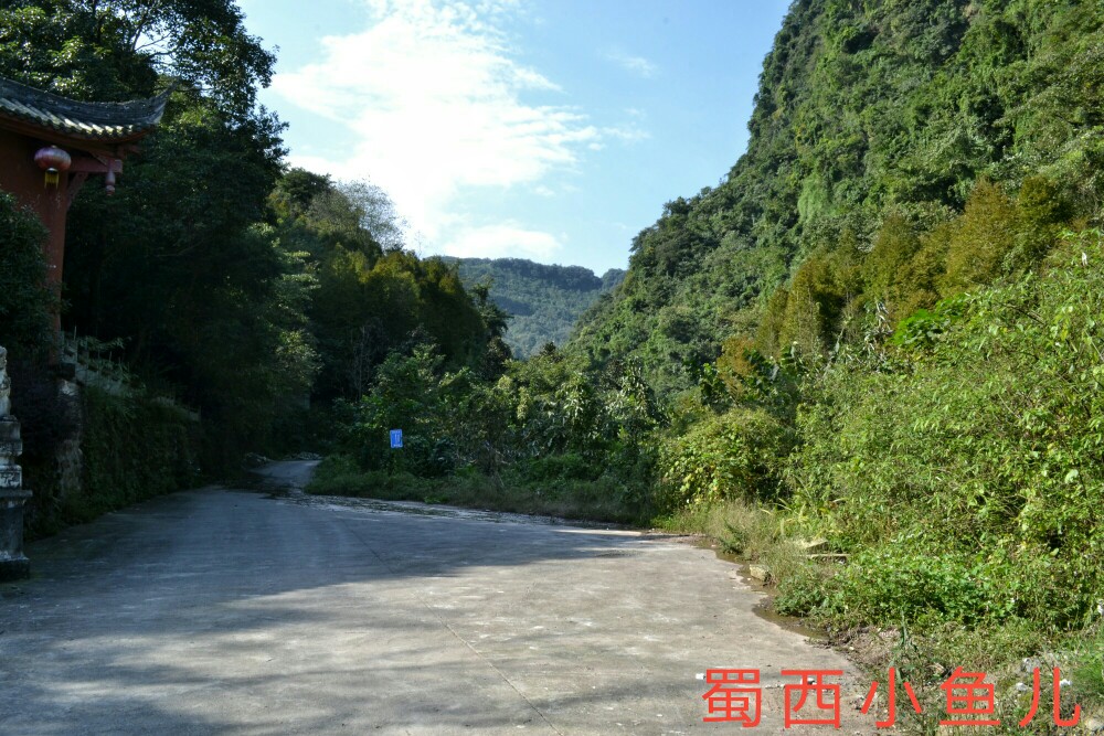DSC_0163-01.jpeg