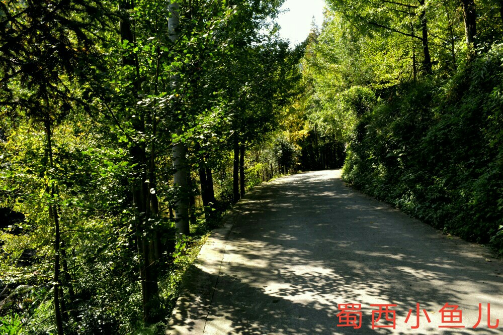 DSC_0130-01.jpeg