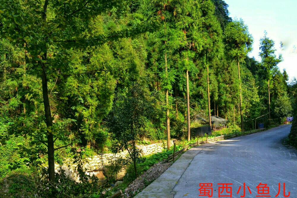 DSC_0188-01.jpeg