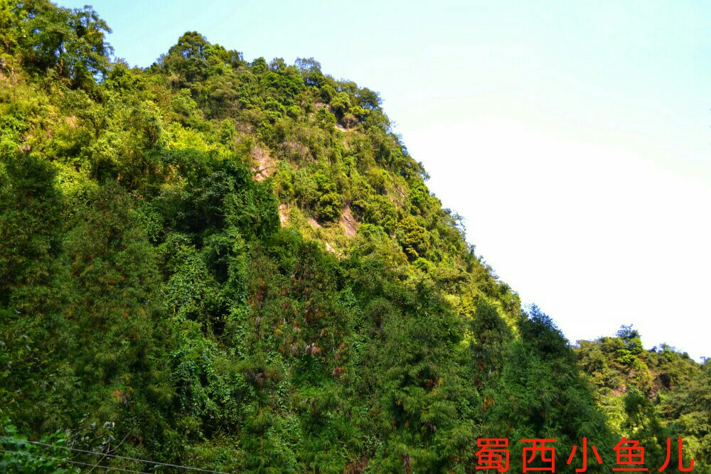 DSC_0191-01.jpeg