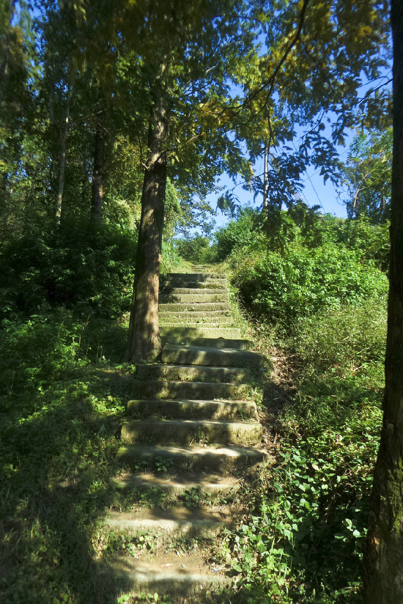 20181025_144236.jpg