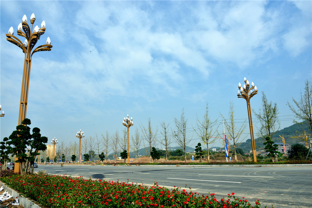 DSC_5130.JPG
