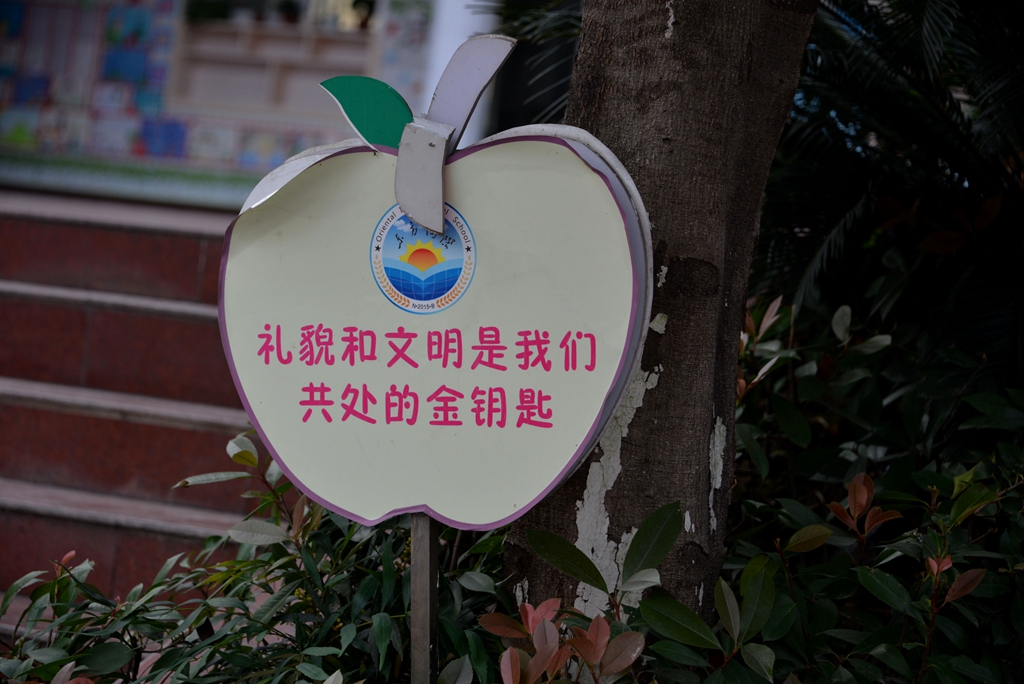 DSC_6198.jpg