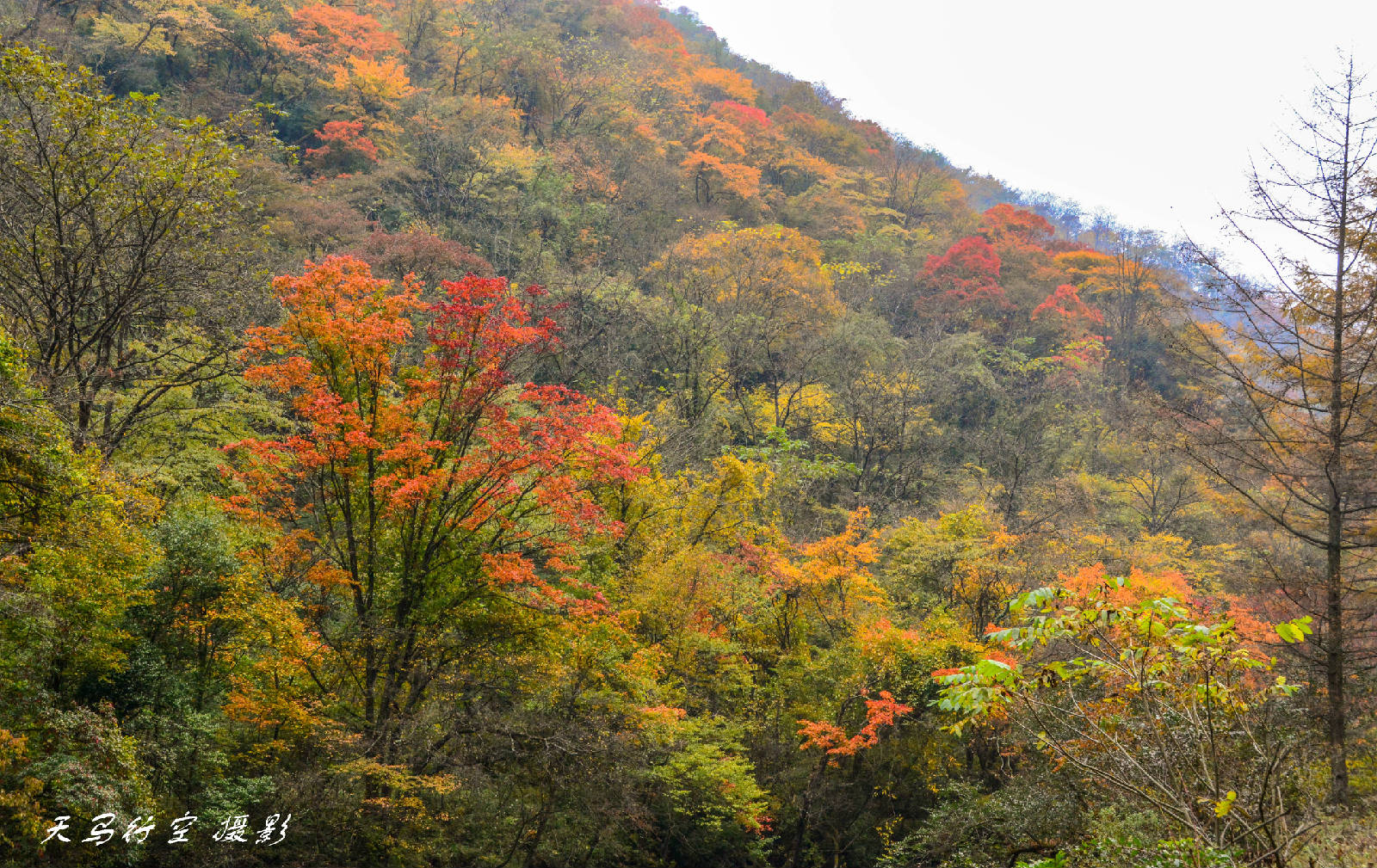 DSC_9688.jpg