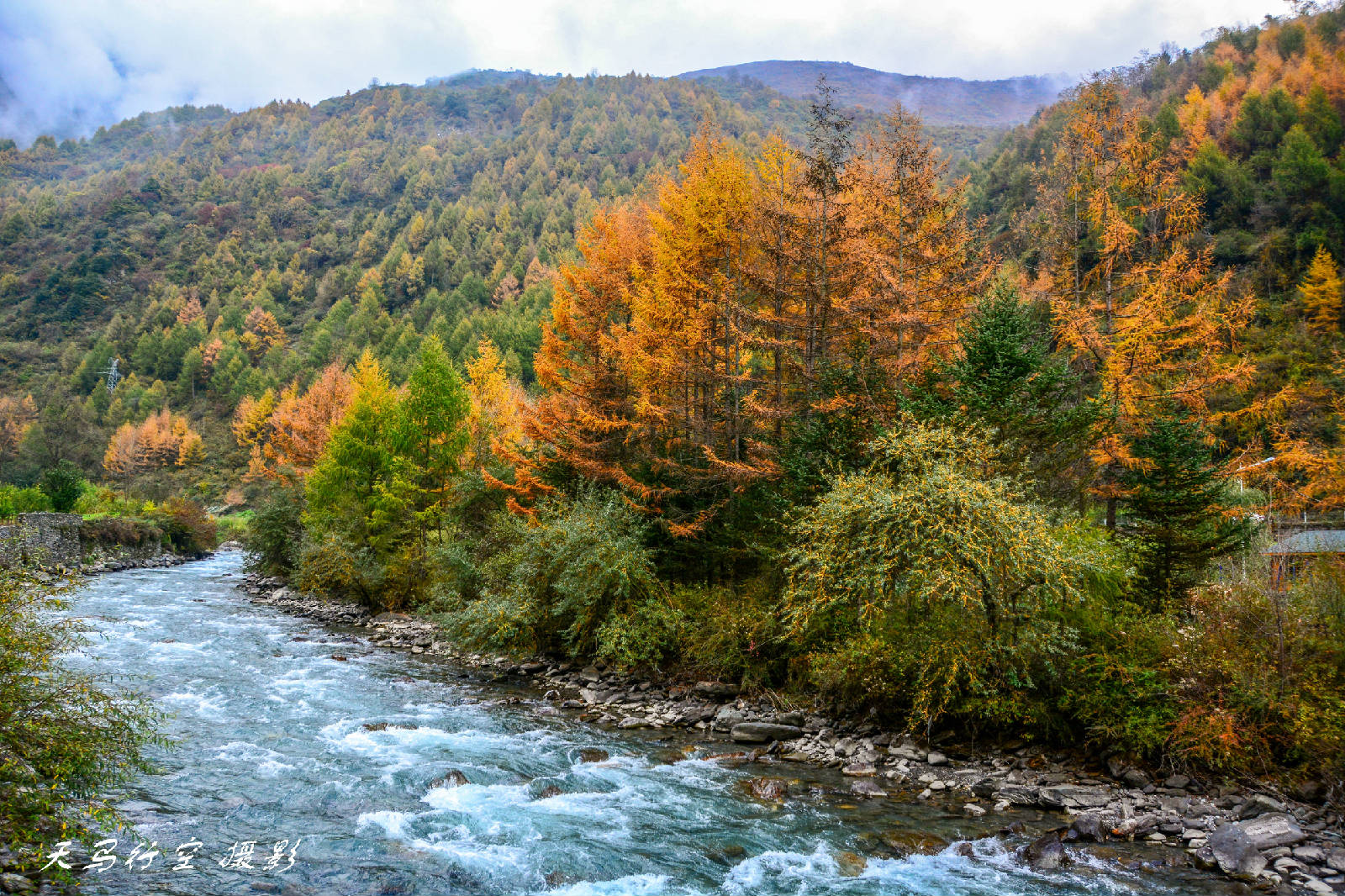 DSC_9767.jpg