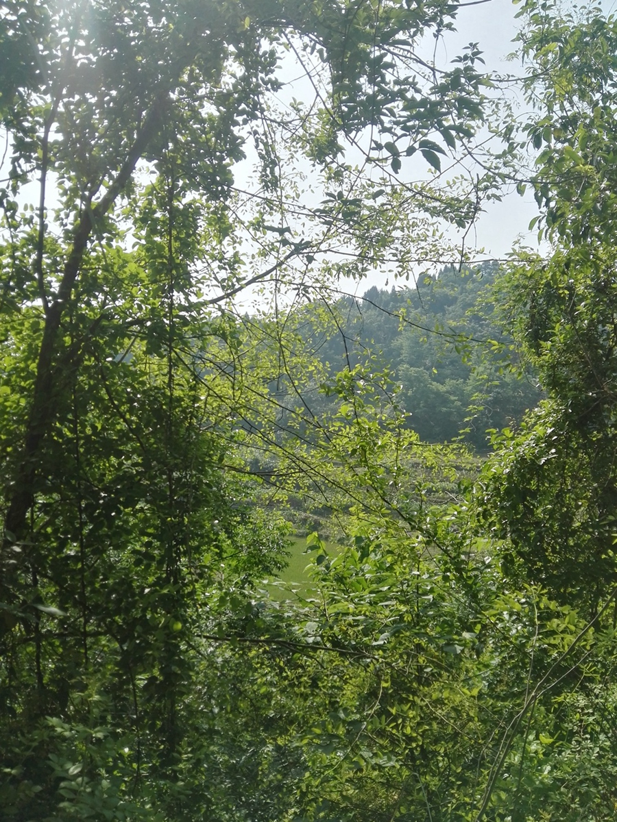 IMG_20180513_092516.jpg