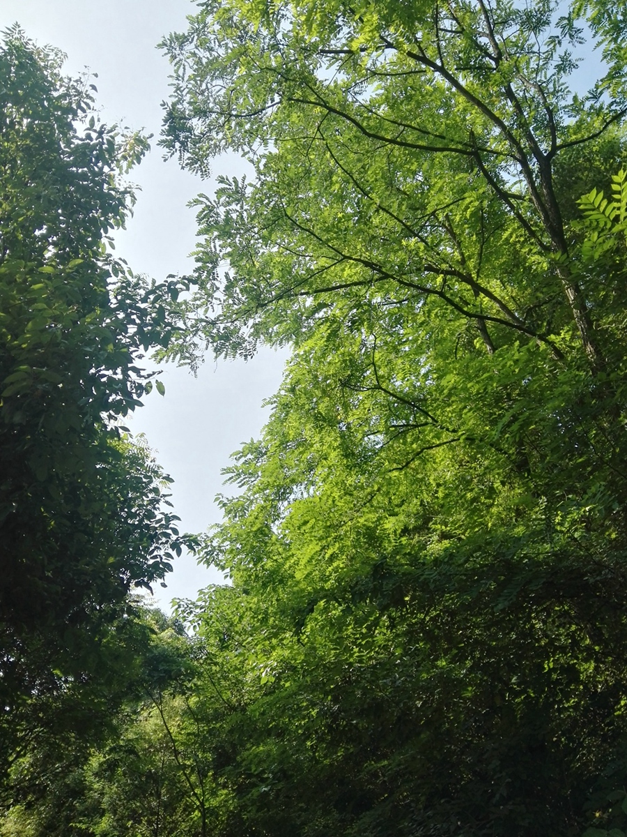 IMG_20180513_092807.jpg