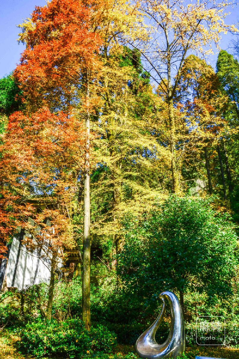 DSC_0366.jpg