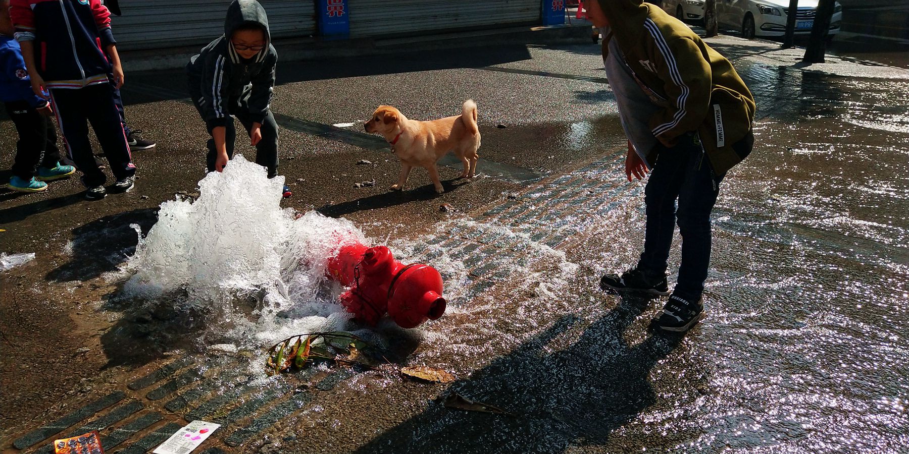 手机，飞仙巷17.jpg