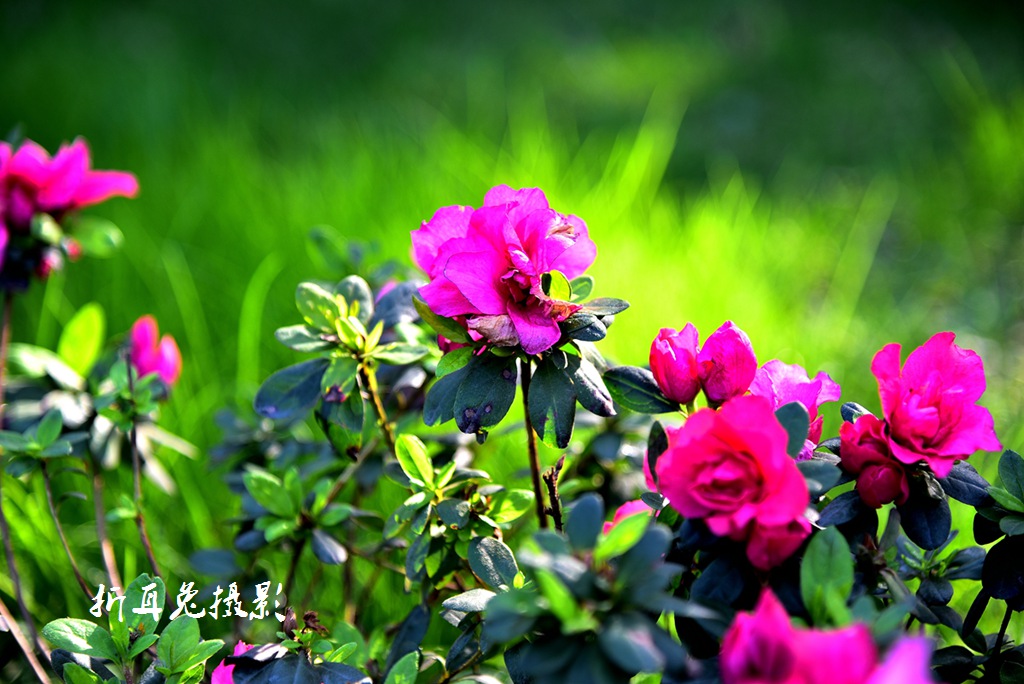 AAA_2305.jpg