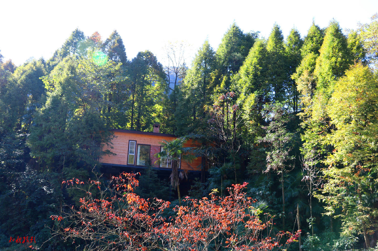IMG_1274_副本.jpg