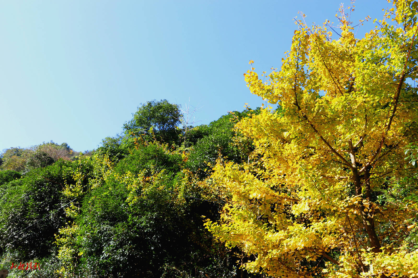 IMG_1286_副本.jpg