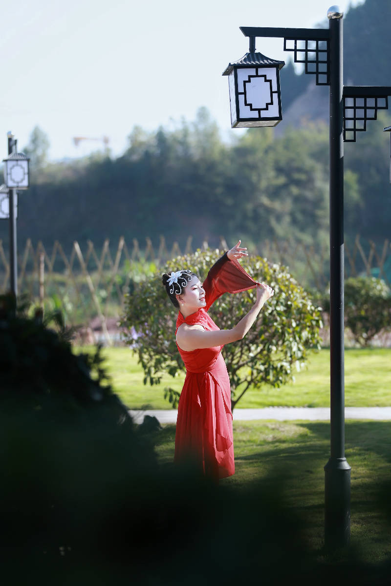 杨紫