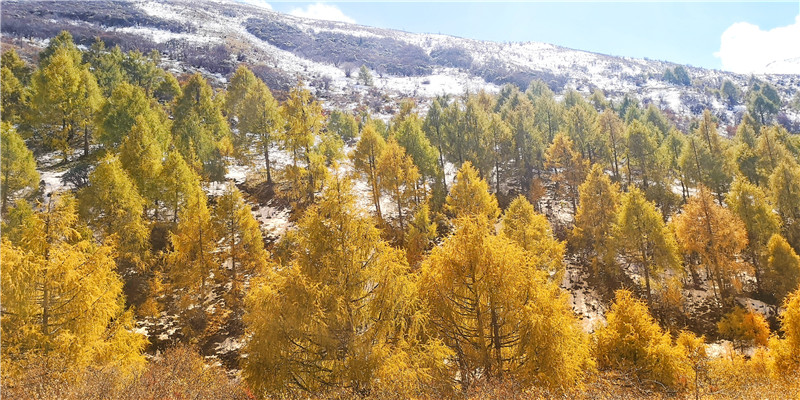 20181102211024801074.jpg